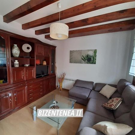 Bizentenea زوغاراموردي المظهر الخارجي الصورة