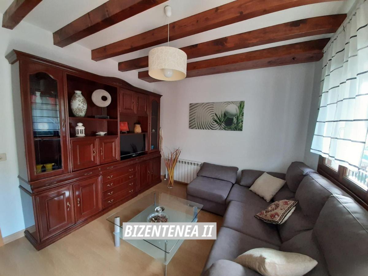 Bizentenea زوغاراموردي المظهر الخارجي الصورة