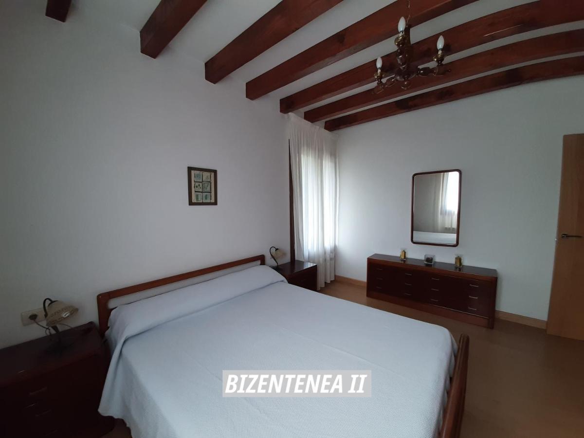 Bizentenea زوغاراموردي المظهر الخارجي الصورة