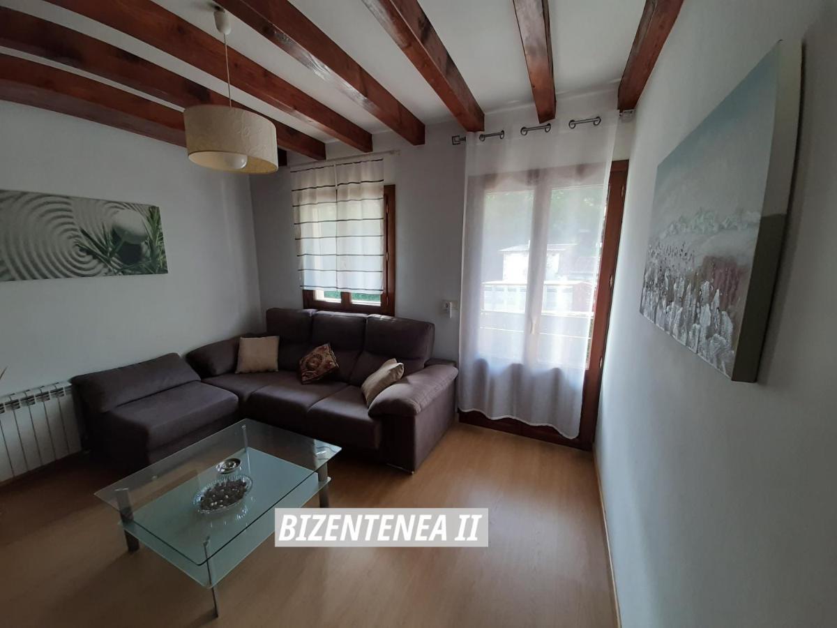 Bizentenea زوغاراموردي المظهر الخارجي الصورة