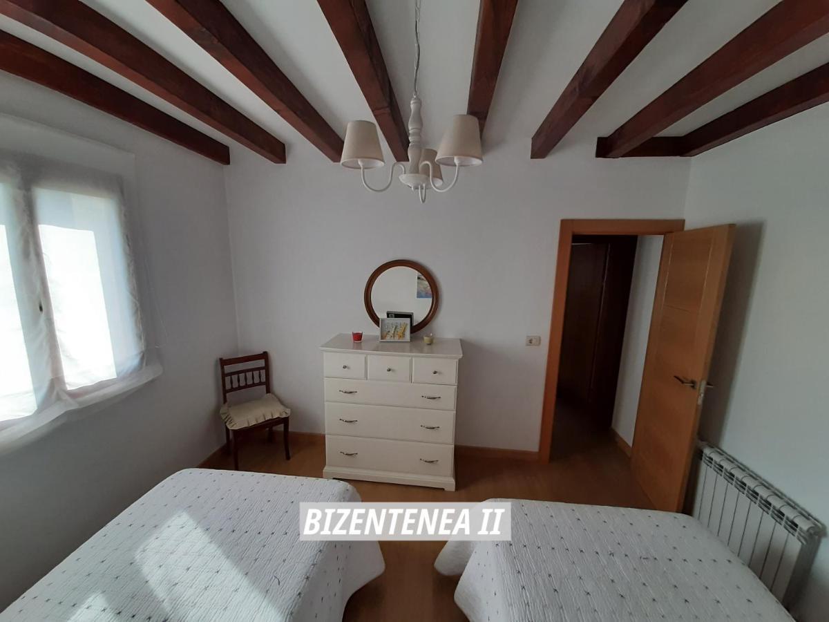 Bizentenea زوغاراموردي المظهر الخارجي الصورة